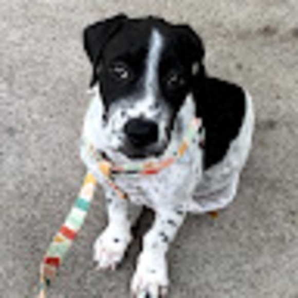 Meet your Posher, Jacquelyn - Picture 1 of 1